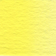 W040 W240 카드뮴 옐로우 레몬Cadmium Yellow LemonSeries C