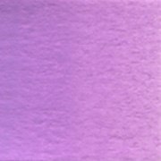 W117 W317 라일락 Lilac Series A