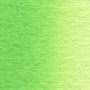 W069 W269 카드뮴 그린 페일 Cadmium Green Pale Series C
