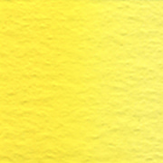 W041 W241 카드뮴 옐로우 페일Cadmium Yellow PaleSeries C