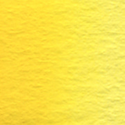 W042 W242 카드뮴 옐로우 라이트Cadmium Yellow LightSeries C